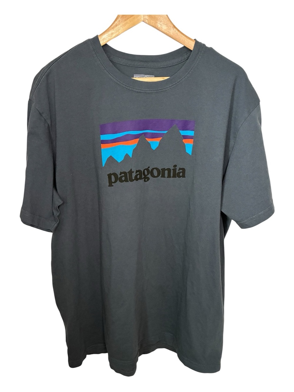 Patagonia T-Shirt Men’s XL Gray Charcoal Front Graphic LIKE NEW!